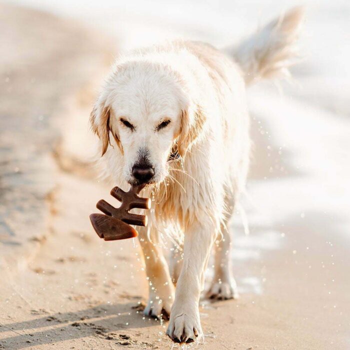 Benebone Fishbone Large жевательная игрушка для собак со вкусом рыбы — изображение 2