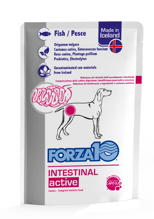 MM21066INTESTINALACTIWETCANEbustinapesce100g_2048x2048 Forza10 Intestinal ActiWet dietētiskie konservi suņiem ar kuņģa-zarnu trakta traucējumiem, ar lasi un rīsiem, 390 g - Image 1