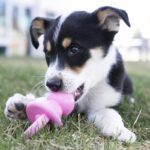 KONG PUPPY BINKIE Small - игрушка для собак — изображение 2