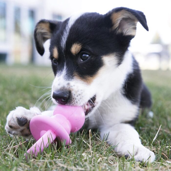 KONG PUPPY BINKIE Small - игрушка для собак — изображение 2