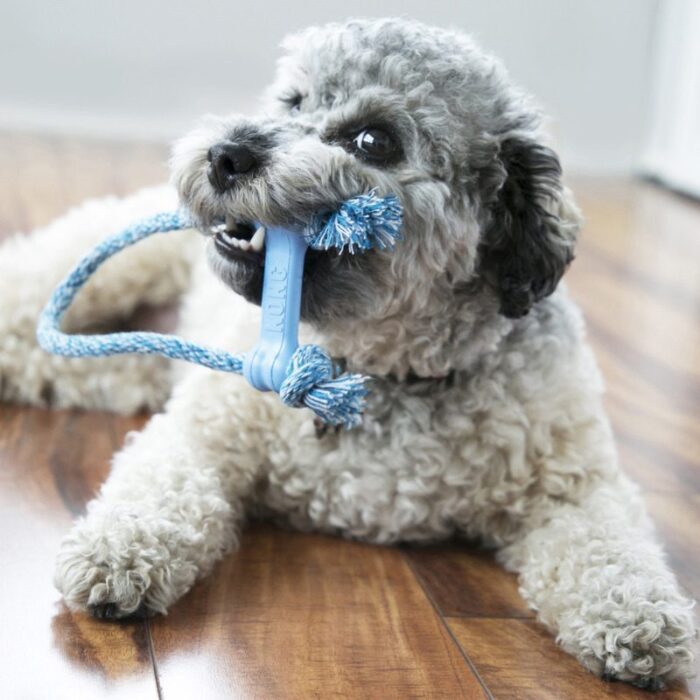 KONG PUPPY GOODIE BONE w/Rope Extra Small - rotaļlieta suņiem ar auklu - Image 3
