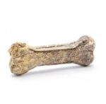 Kimo Chew Bone with Codfish kārums suņiem, 70g - Image 2