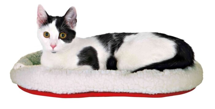 Trixie Guļvieta dzīvniekiem - Cuddly Bed for cats, 47*38 cm — изображение 2