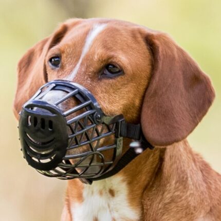 Trixie Uzpurnis suņiem Muzzle, Plastic. Size L-XL, 35 cm, 8.9cm