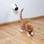 Trixie Rotaļlieta kaķiem Moving Light Laser pointer, 11 cm, white/blue — изображение 5