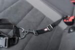 Trixie Auto pavada Seatbelt for car harnesses, XS–S 30–45 cm/20 mm - Image 10