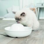 Trixie Automātiskā dzirdne dzīvniekiem Vital Flow Mini drinking fountain, ceramic, 0.8 l/ø 24 × 10 cm, white — изображение 2