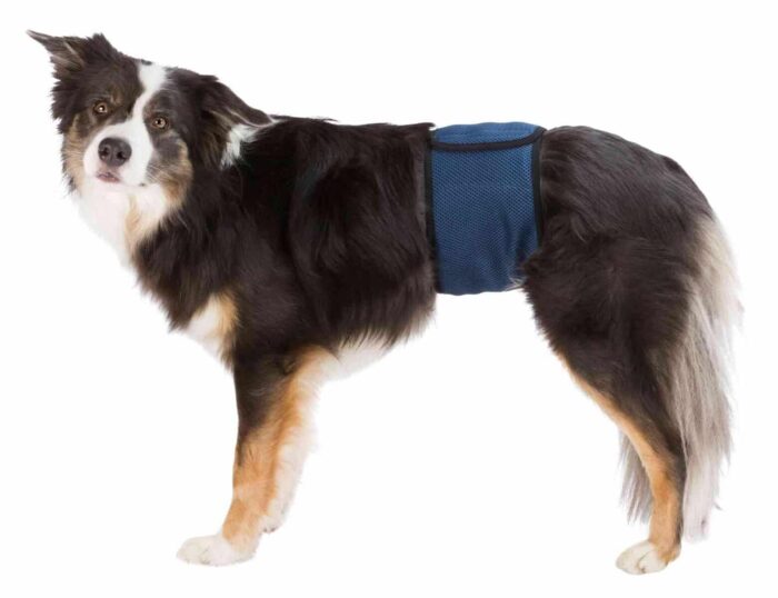 Trixie Autiņbiksītes suņiem Diapers for male dogs, mesh material, L 55–65 cm, dark blue - Image 1