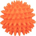 Trixie Rotaļlieta suņiem Hedgehog Ball 6cm - Image 3