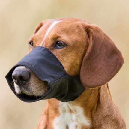 Trixie Uzpurnis suņiem Muzzle, Nylon. Size XS, Snoup strap 16 cm, 5 cm