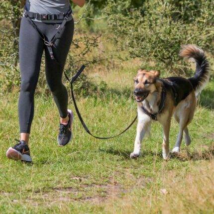 Trixie Pavada skriešanai Waist Belt with Leash, 70–130 cm/9 cm, lead 1.20–1.50 m/25 mm, Stomach circum. 75–120 cm