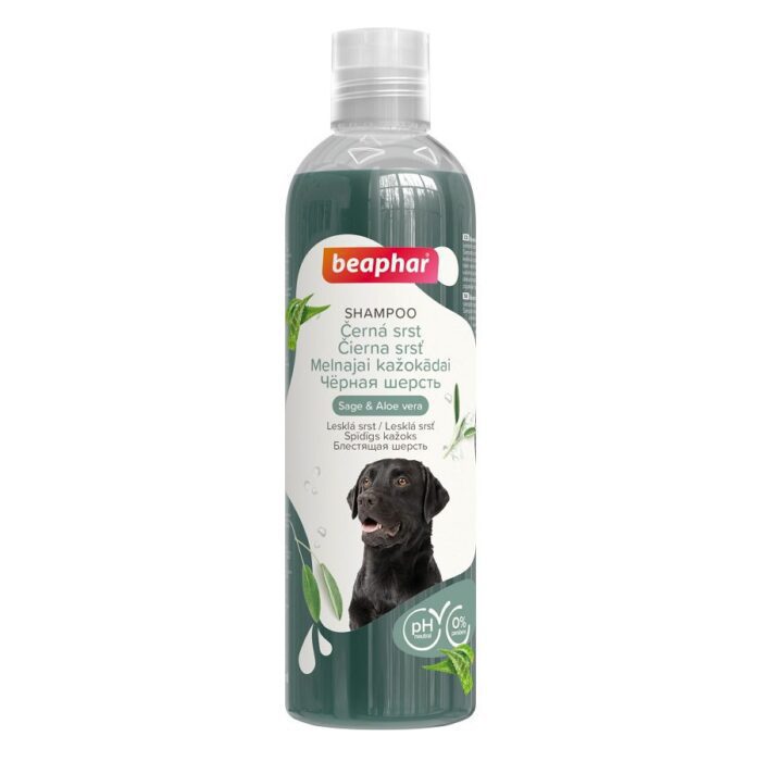 Beaphar Šampūns suņiem Black Coat Shampoo Dog, 250ml - Image 1