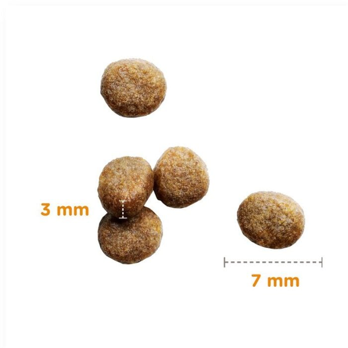 IAMS Sausā barība kaķēniem CAT KITTEN CHICKEN, 800 gr - Image 2