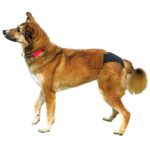 Trixie Biksītes suņiem Protective Pants "XL", 60-70 cm — изображение 3