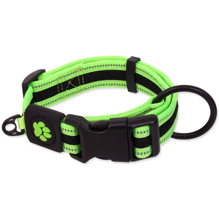 Active Dog Collar Fluffy L lime 3,2x39-59cm – kakla siksna suņiem — изображение 1