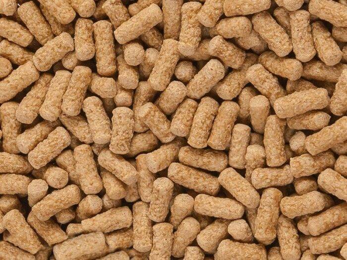 Sera Barība reptiļiem : Raffy Mineral, 1000 ml - Image 2