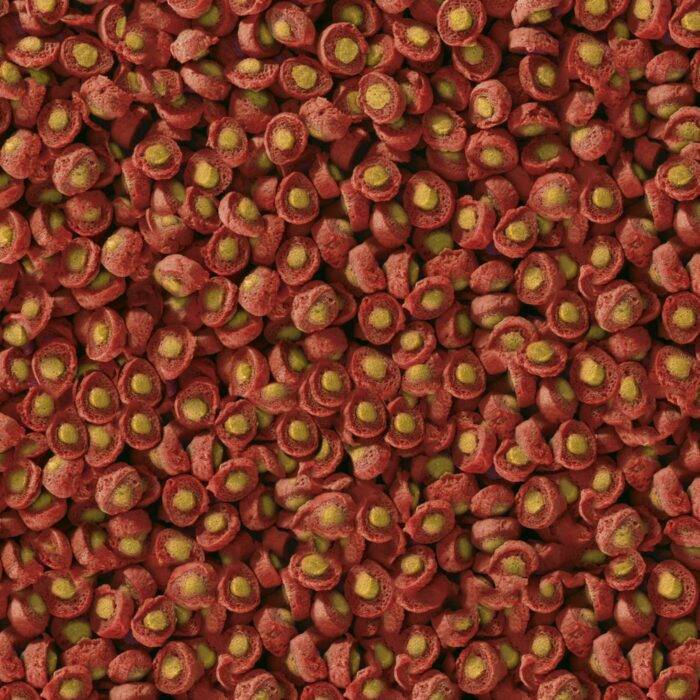 Sera Barība dīķa zivīm : KOI Professional Spring/Autumn, 500g - Image 2