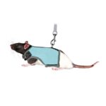 Trixie Krūšu siksna žurkām - Soft harness with leash, rats, 12–18 cm, 1.20 m