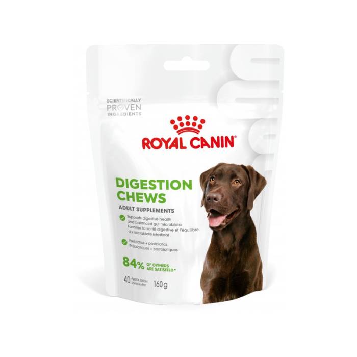 Royal Canin Digestion piedevas suņu gremošanai, 160 g
