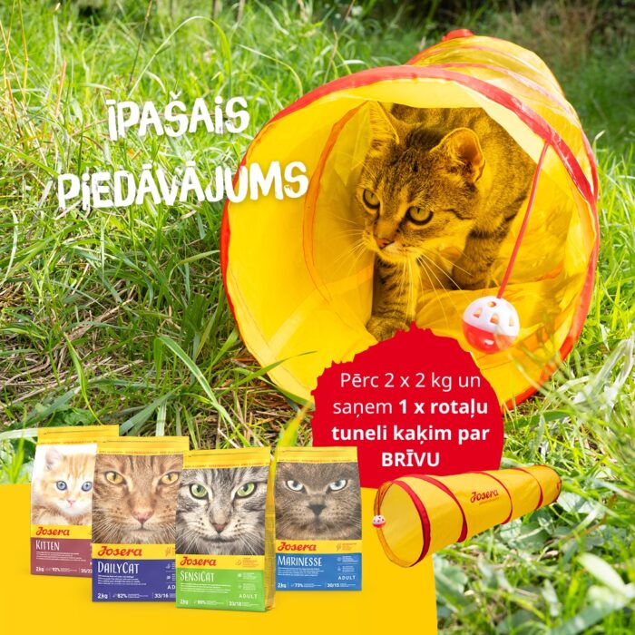 Josera DailyCat sausā bezgraudu kaķu barība ar putnu gaļu un aknām, 2 kg` - Image 2