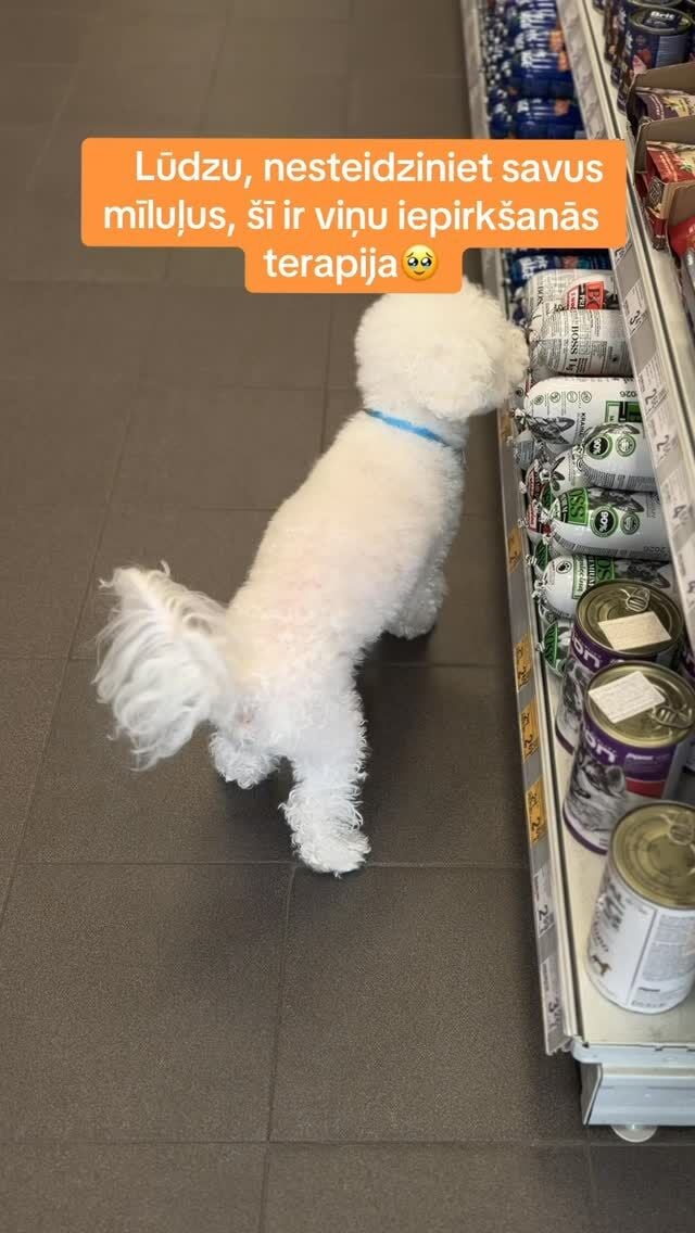 Lūdzu, netraucējiet. Notiek ļoti svarīga izvēle. 🐶

#zooveikals #zoopreces #rīga #latvija #suņubarība